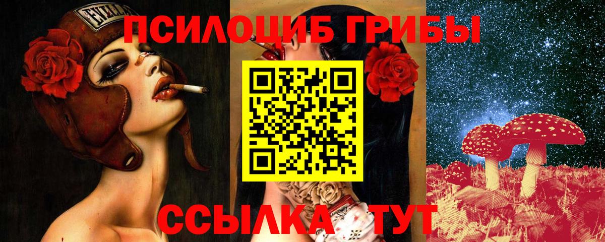 Псилоцибиновые грибы Psilocybe  Вход с VPN  Псилоцибиновые грибы мухоморы  Апшеронск 